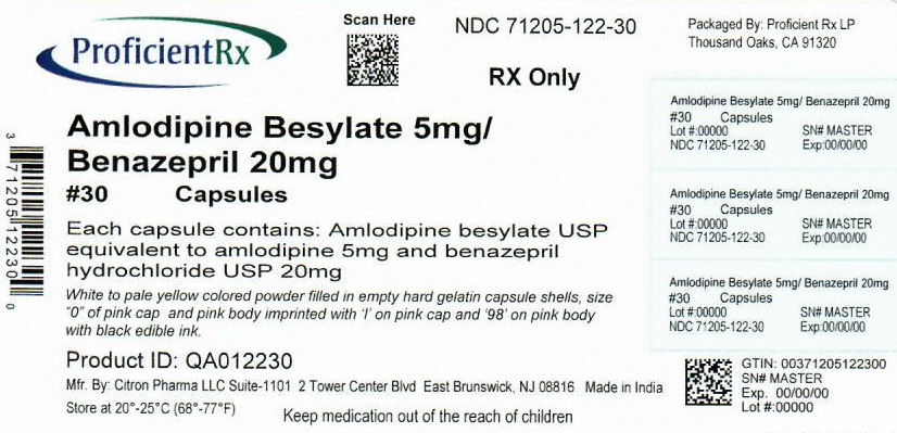Amlodipine And Benazepril Hydrochloride